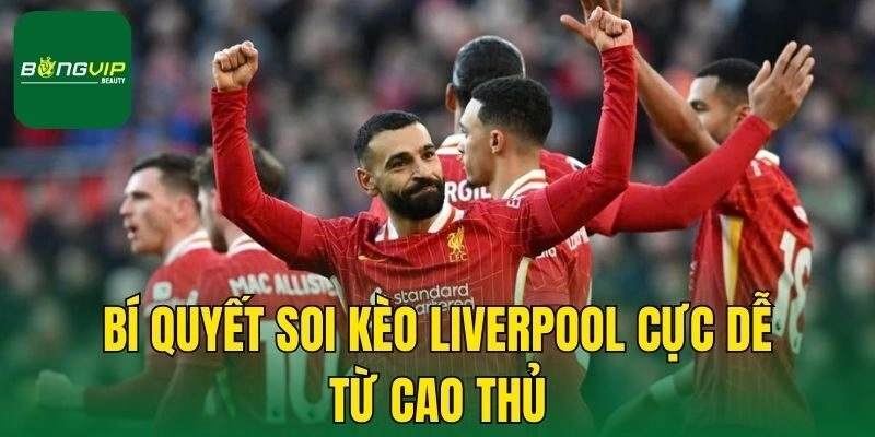 Bí quyết soi kèo Liverpool cực dễ từ cao thủ