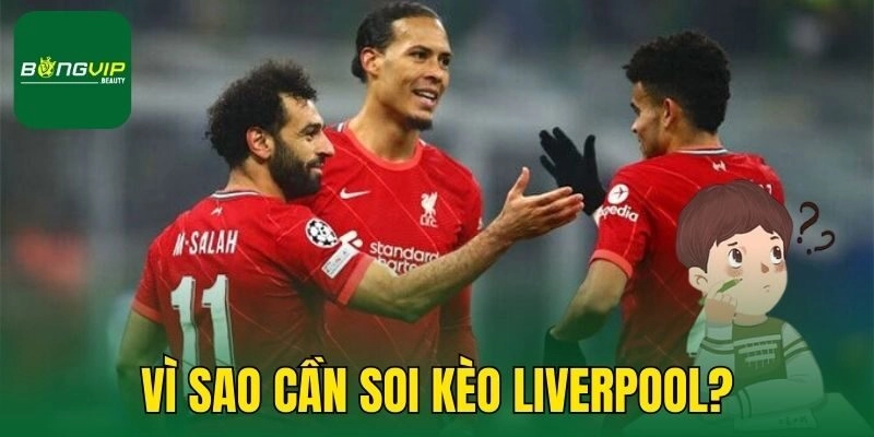 Vì sao cần soi kèo Liverpool?
